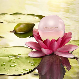 Incandessence Lotus Eau De Parfum 50ml 100ml